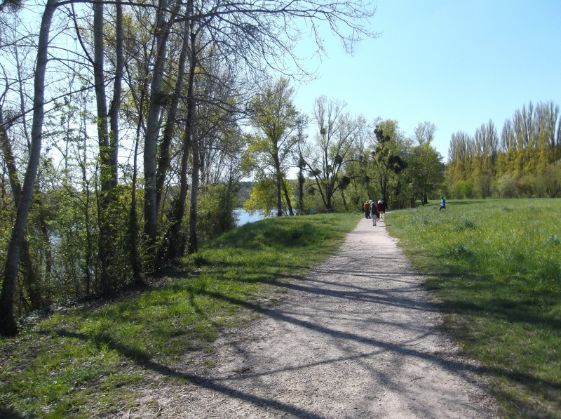 Sorties sur les bords de Seine