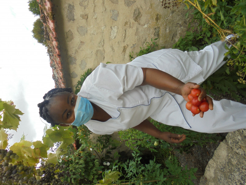 notre potager donne beaucoup de légumes