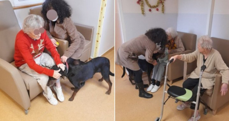 Médiation animale à l’unité AUBE