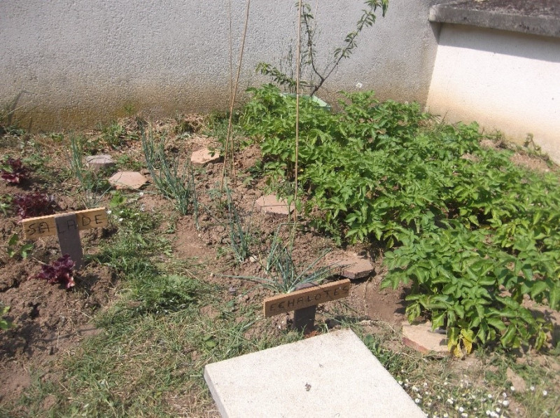 Plaisir des sens au jardin avec Lénaig le 12 juin