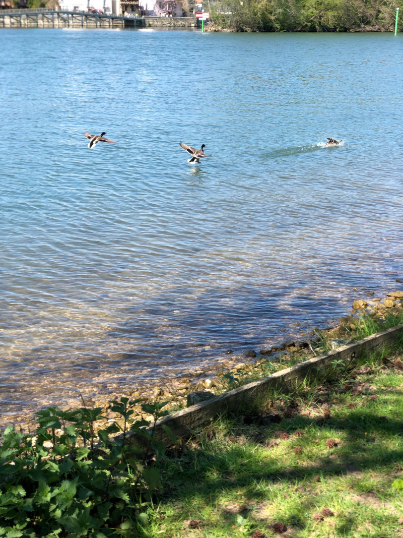 Sortie en bord de Seine