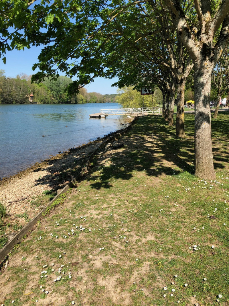 Sortie en bord de Seine