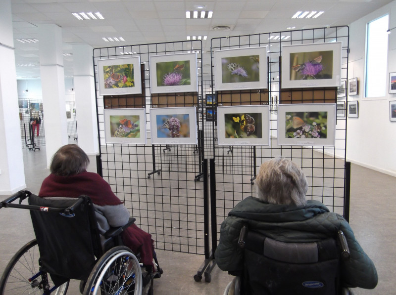 Une sortie à une exposition photo à Montereau